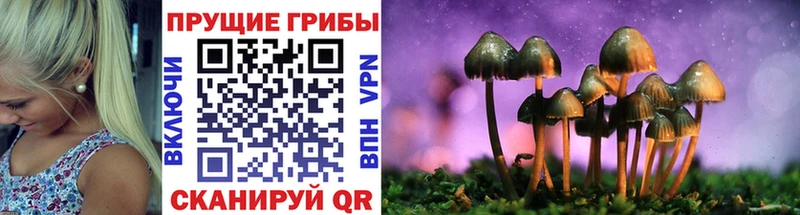 Галлюциногенные грибы мухоморы  как найти   Темрюк 