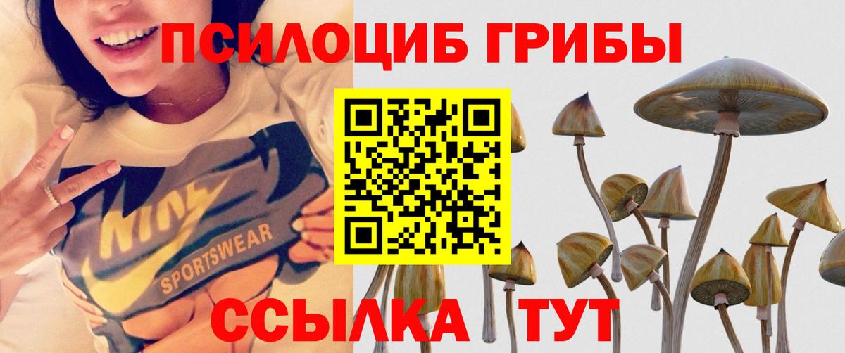 Псилоцибиновые грибы GOLDEN TEACHER  Псилоцибиновые грибы Magic Shrooms  Вход с VPN  Темрюк 