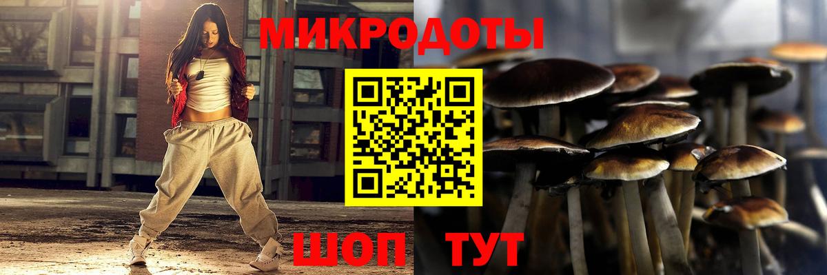 Псилоцибиновые грибы прущие грибы Темрюк